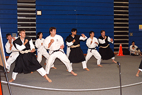 Shorinji Kempo